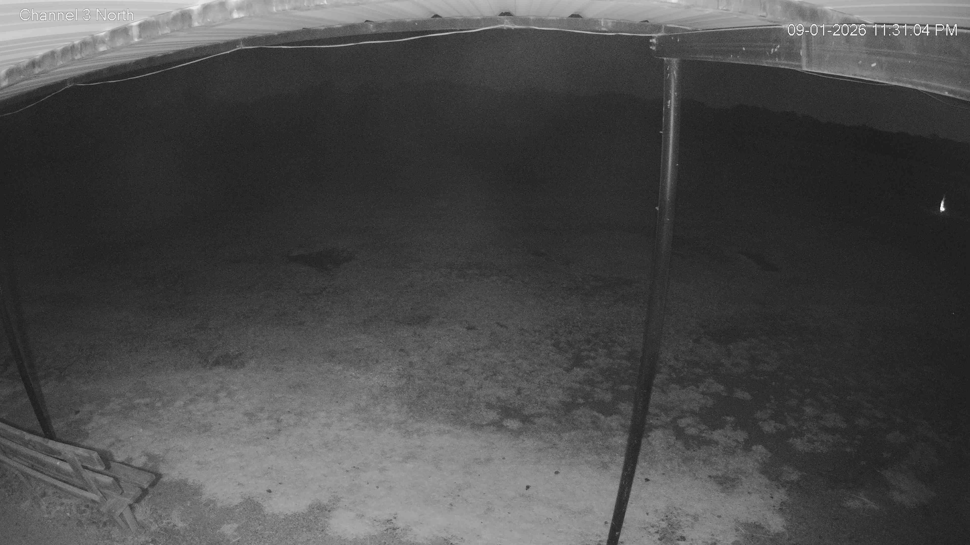 camera image